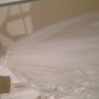 IMG_6252 IMG_6252