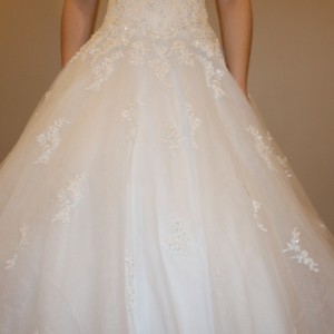 IMG_8303 IMG_8303