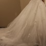 IMG_8317 IMG_8317