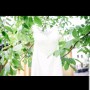 Screenshot_20180731-151020_Dropbox