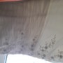 20190303_122227 20190303_122227