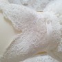 20190327_171505