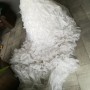IMG_20190314_102453
