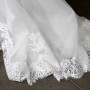 IMG_3905 IMG_3905