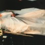 IMG_7379 IMG_7379