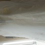 20171017_123853