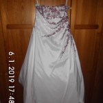 DSCI0402