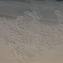 DSC_0279 DSC_0279