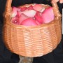 IMG-20190402-WA0010