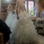 IMG-20190407-WA0004 IMG-20190407-WA0004