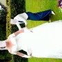 IMG_0003 IMG_0003