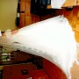 IMG_0004 IMG_0004