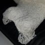 20190511_151651 20190511_151651