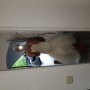 20190526_164252
