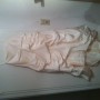 IMG_1775 IMG_1775