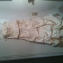IMG_1777 IMG_1777