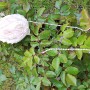 IMG_20190512_110546
