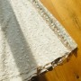 IMG_4581 IMG_4581