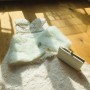IMG_4584 IMG_4584