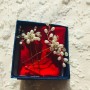 IMG_4585 IMG_4585