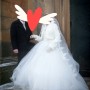 thumbnail_image7