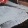 IMG_20190611_160833