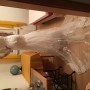IMG_2586 IMG_2586
