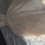 A7C6833E-5BE6-4B49-9F18-A482D72B563A