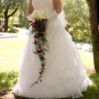 IMG_4659 IMG_4659