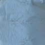 IMG-20190626-WA0005