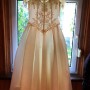 IMG_0101 IMG_0101