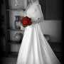 IMG_4631 IMG_4631