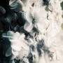 Screenshot_20191013_111552 Screenshot_20191013_111552
