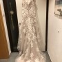 IMG-20191120-WA0041