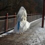 IMG_20191124_115601