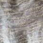 20191125_120032