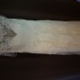 DSC00497