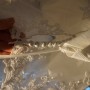 DSC00498