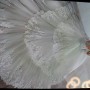 IMG-20200208-WA0036