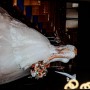 IMG-20200208-WA0037