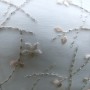 0606050081