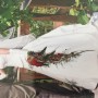 Kleid 1