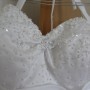 IMG_0020 IMG_0020