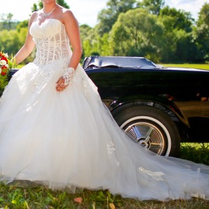 IMG_0555 IMG_0555