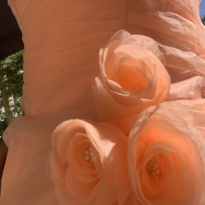 23C5AF98-C700-422E-A1BC-F61A4F2A4056 23C5AF98-C700-422E-A1BC-F61A4F2A4056