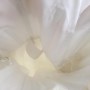 Unknown-6 Unknown-6