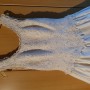 IMG_1601234857637_30186