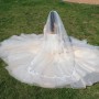 IMG_1859 IMG_1859