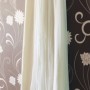 IMG_5837 IMG_5837