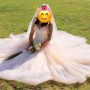 PicsArt_10-11-04.20.35 PicsArt_10-11-04.20.35